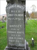 White, Thomas and Bridget (2nd Pic)